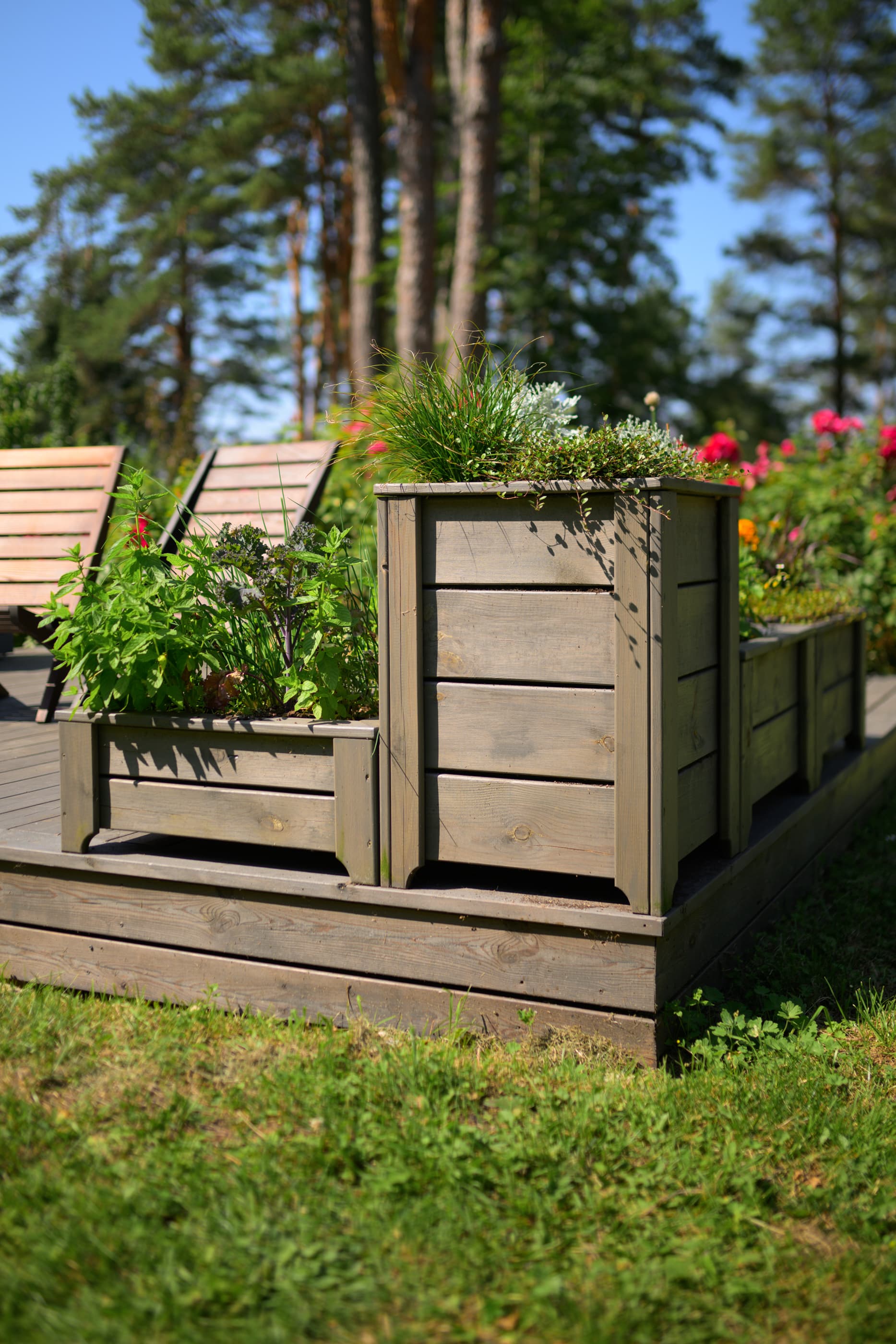 Inspiration photo terrassile ja aeda