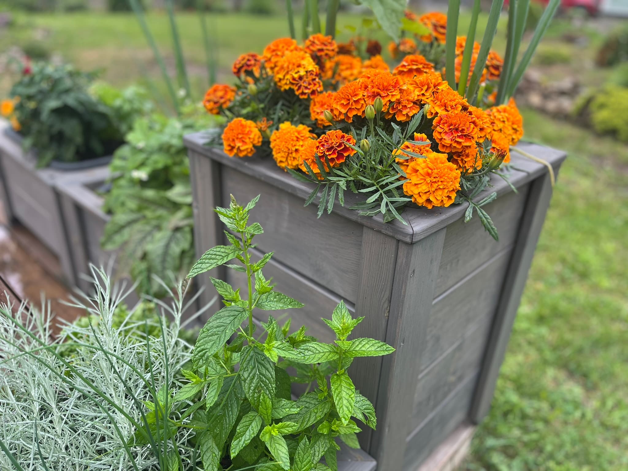 Taimekastid, lillekastid ja peenrakastid